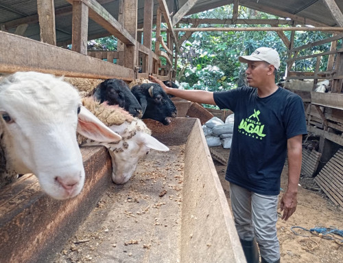 Jateng Perkuat Ekosistem Halal, 700 Juru Sembelih Sudah Ikuti Pelatihan dan Sertifikasi