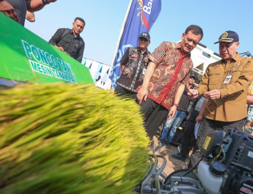 Produksi Padi Jateng Capai 6,69 Juta Ton, Ahmad Luthfi Optimistis Bisa Penuhi Target